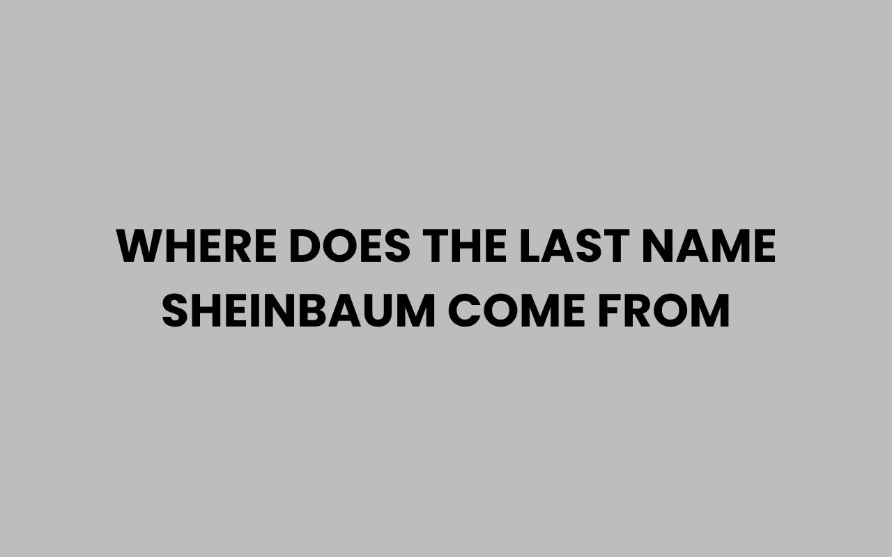 where does the last name sheinbaum come from