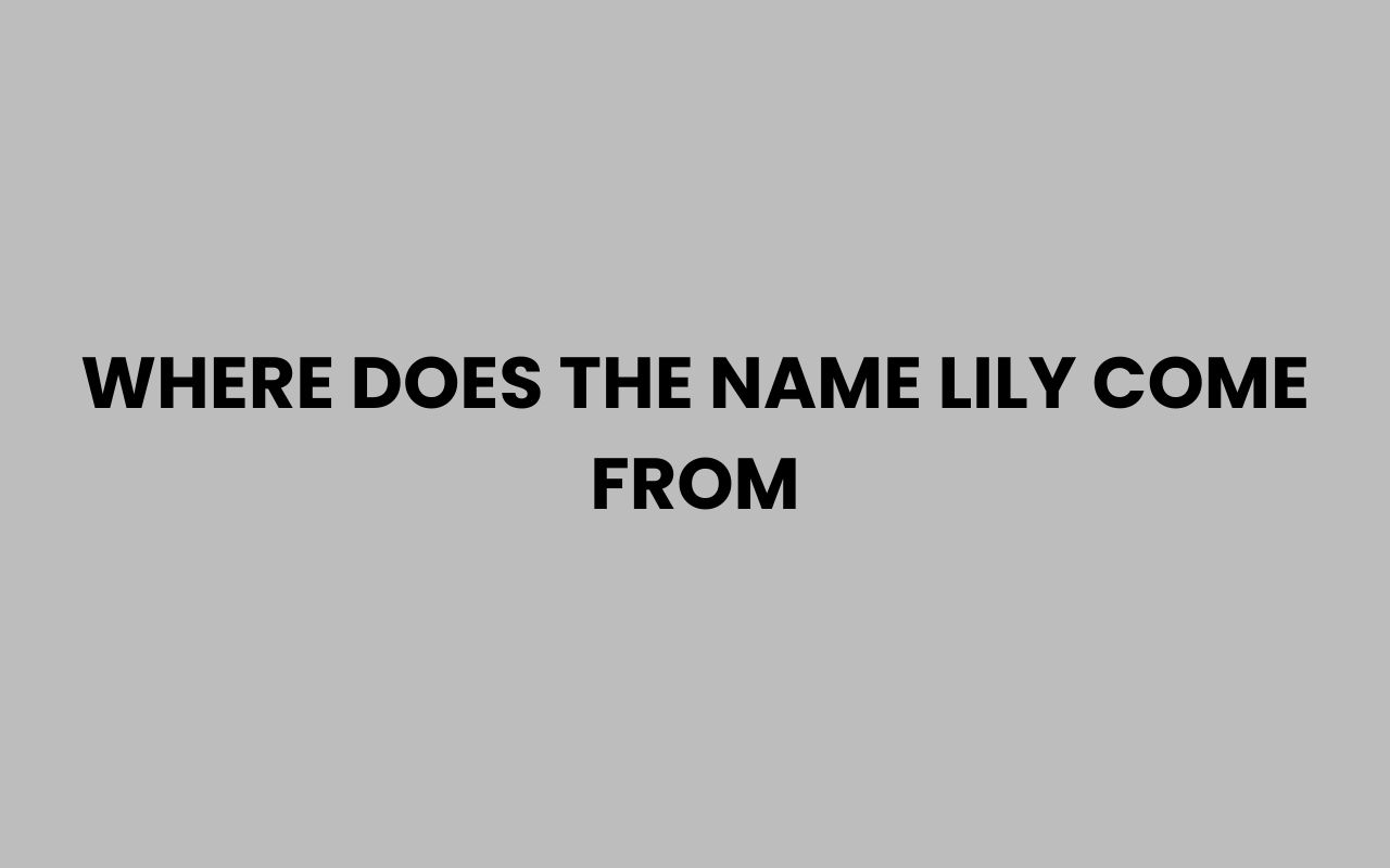 where does the name lily come from