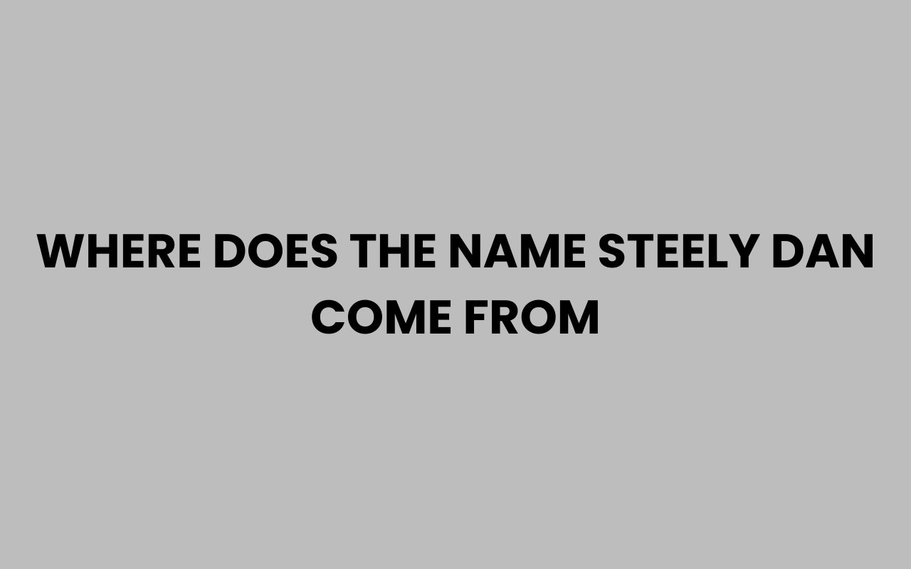 where does the name steely dan come from