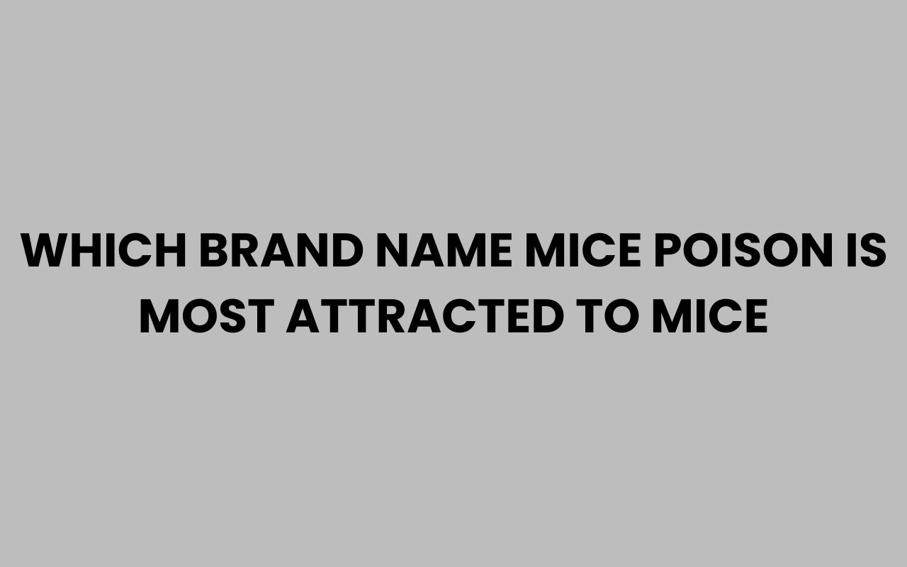 which brand name mice poison is most attracted to mice