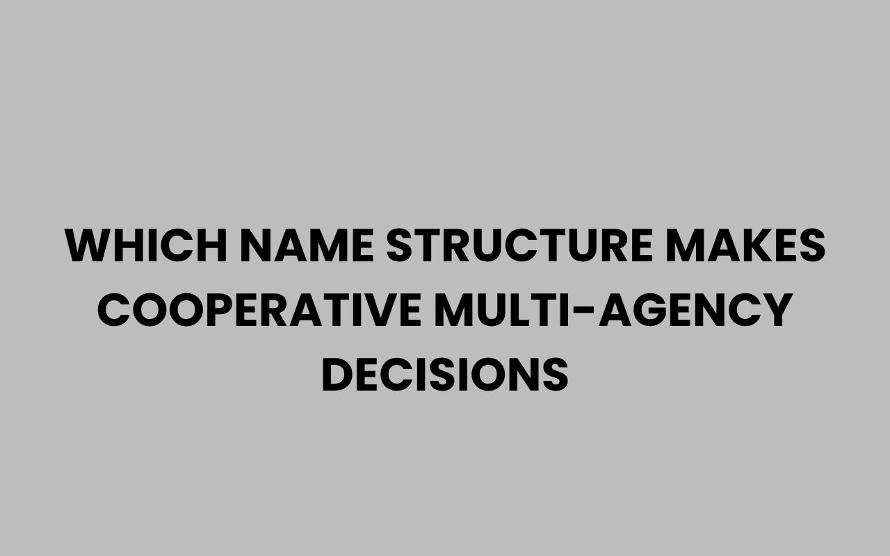 which name structure makes cooperative multi agency decisions