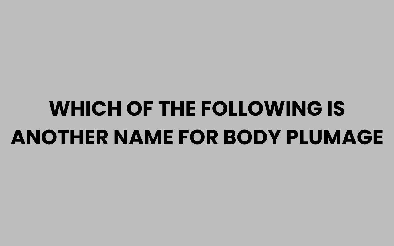 which of the following is another name for body plumage