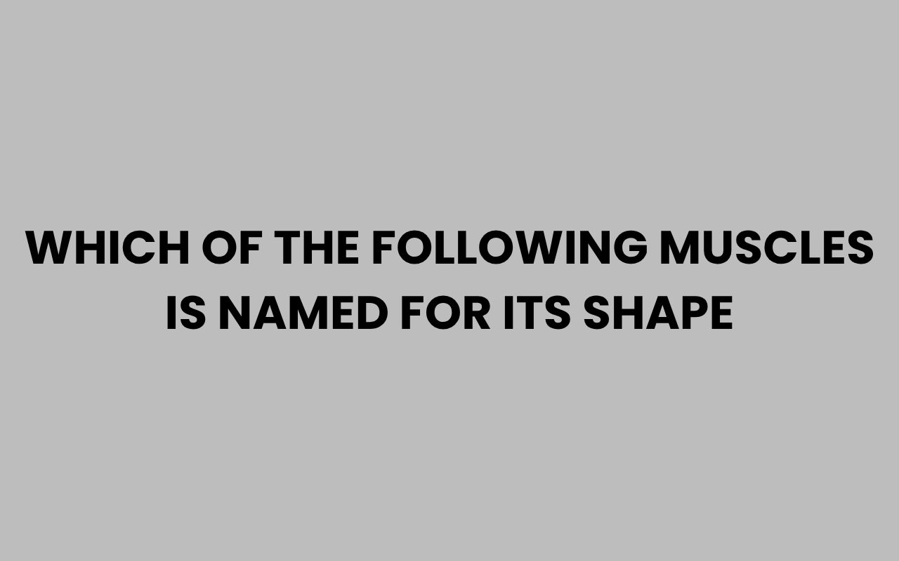 which of the following muscles is named for its shape
