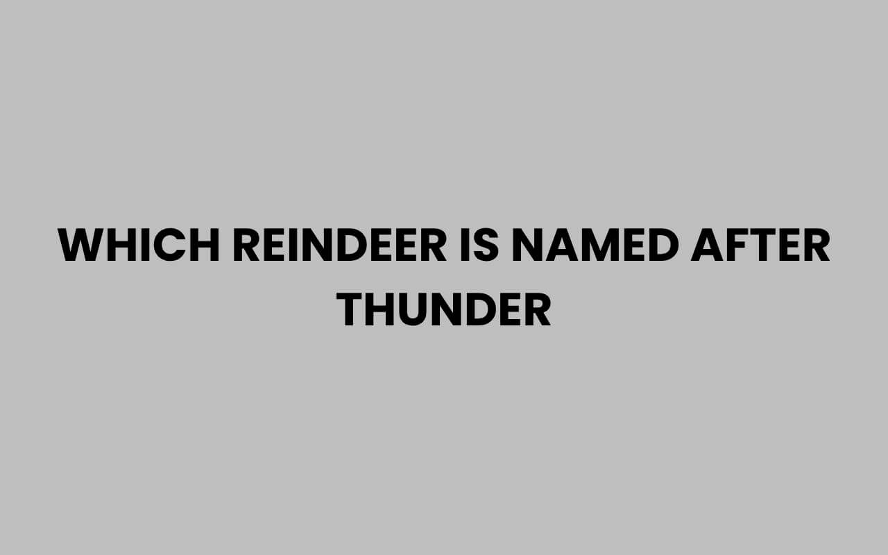 which reindeer is named after thunder