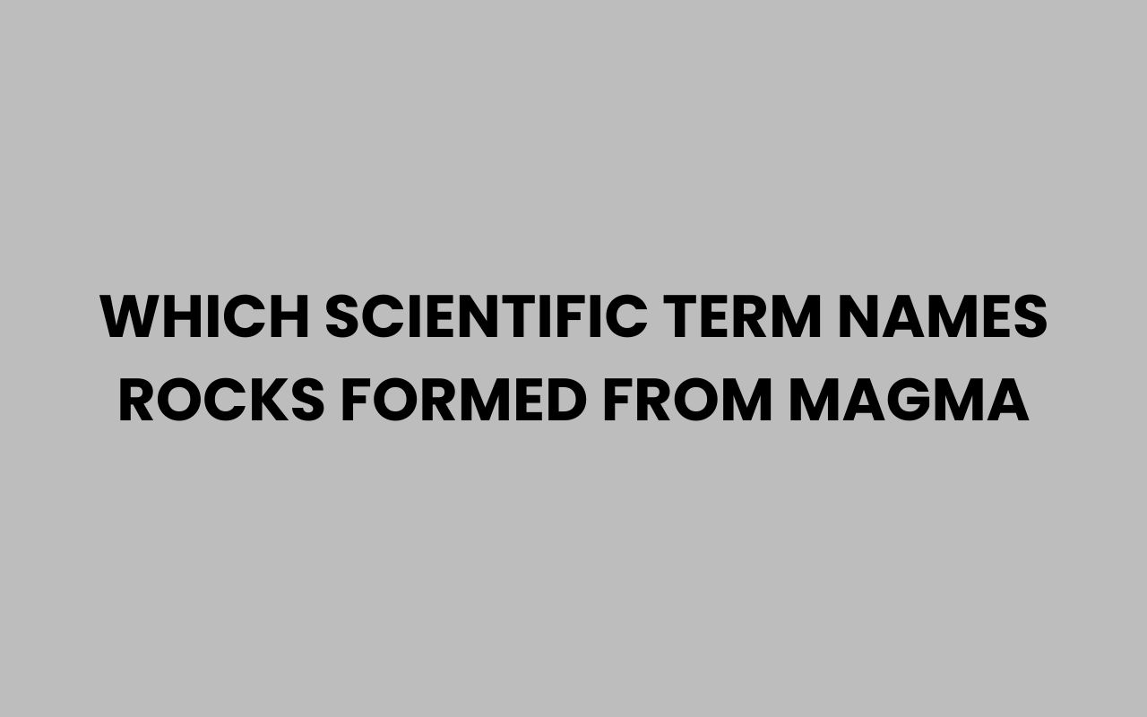 which scientific term names rocks formed from magma