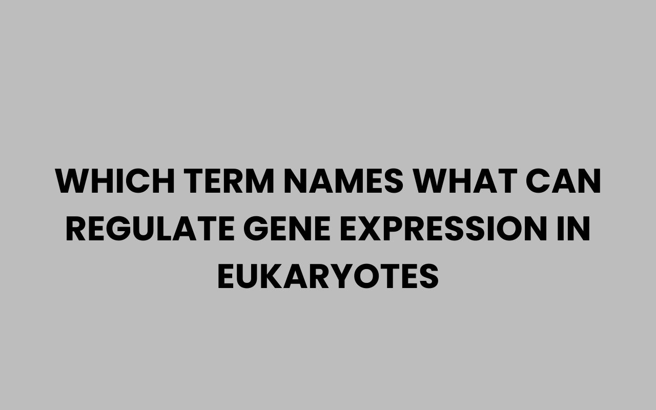 which term names what can regulate gene expression in eukaryotes