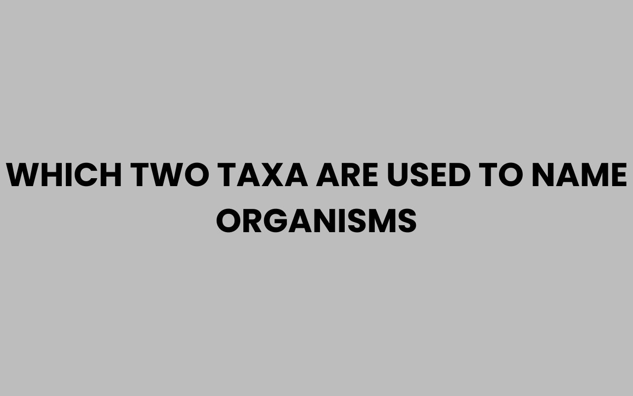 which two taxa are used to name organisms