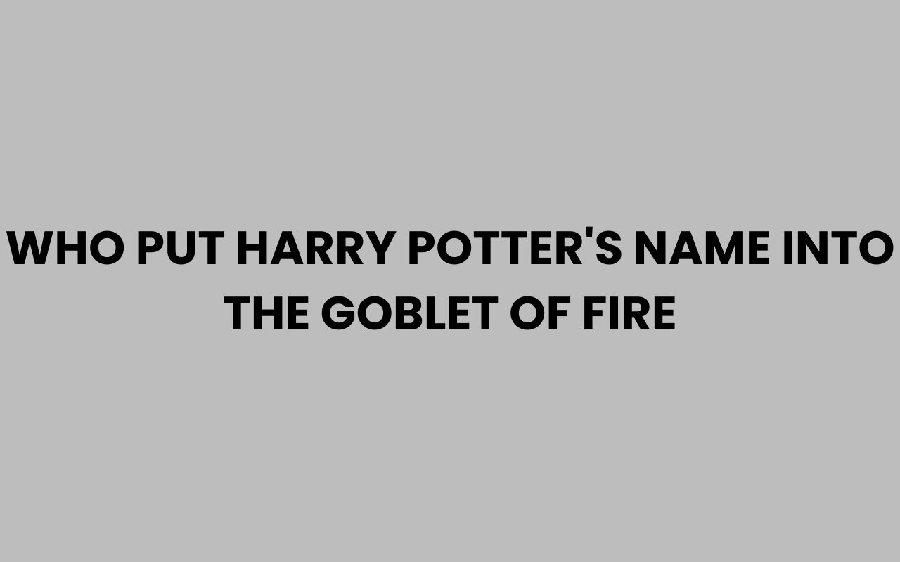 who put harry potters name into the goblet of fire