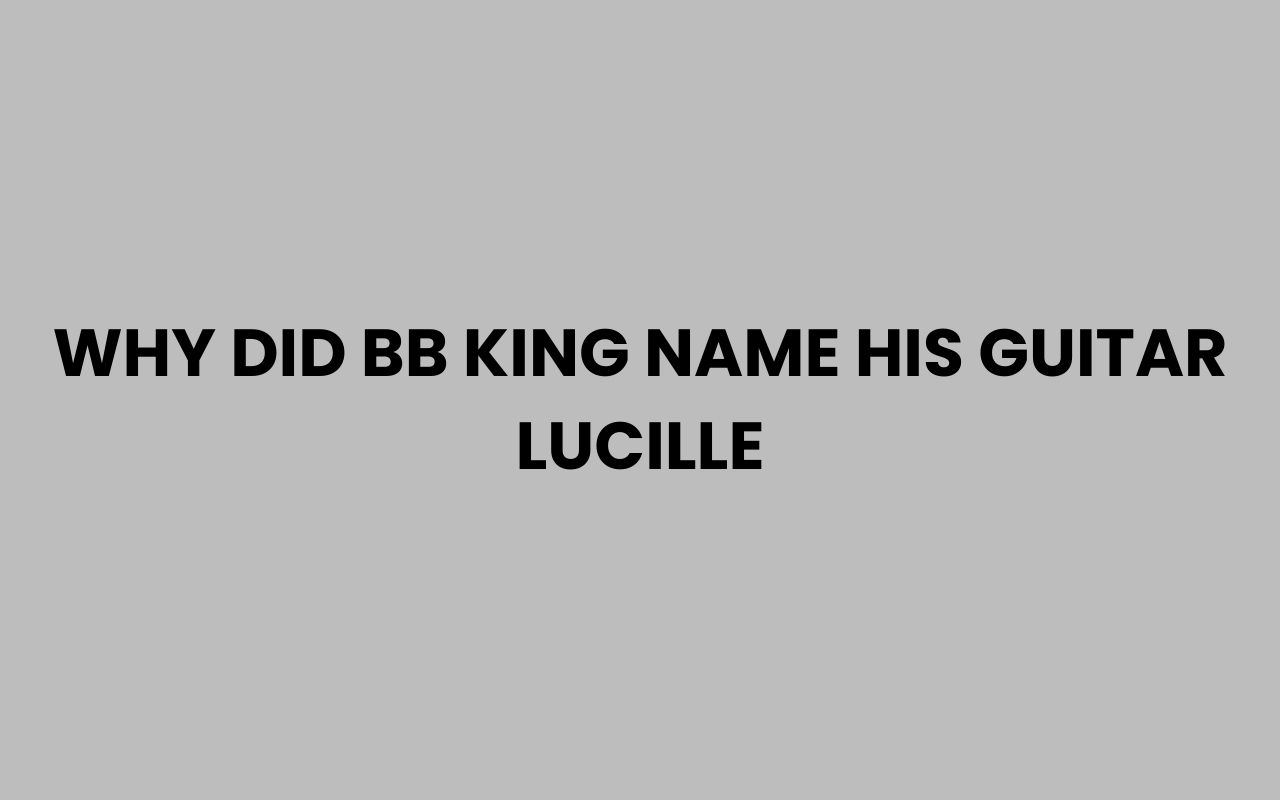 why did bb king name his guitar lucille