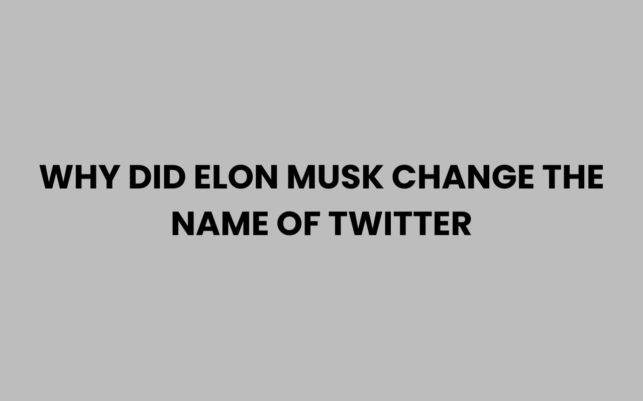 why did elon musk change the name of twitter