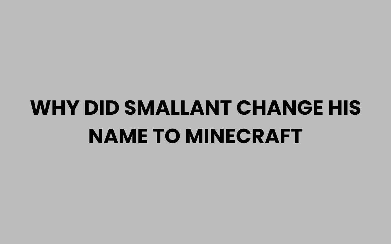 why did smallant change his name to minecraft