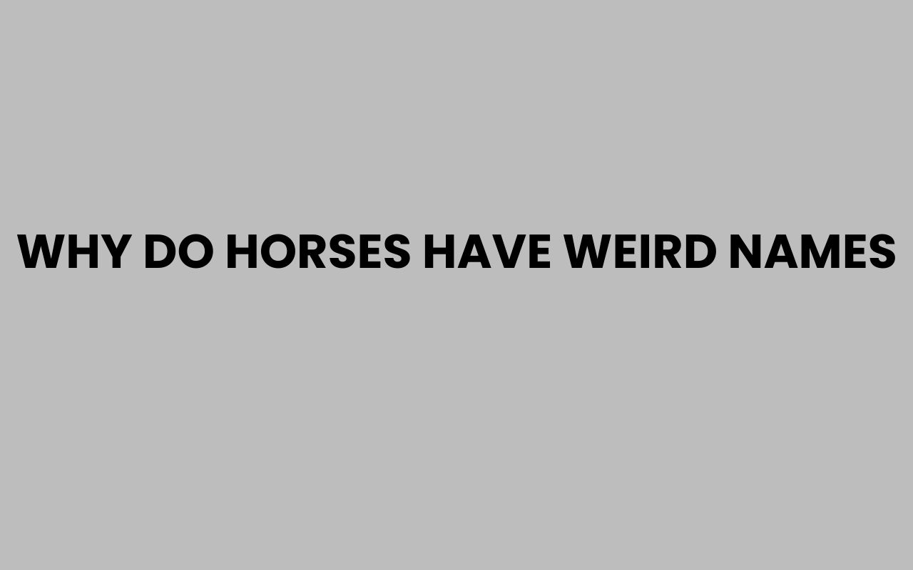 why do horses have weird names