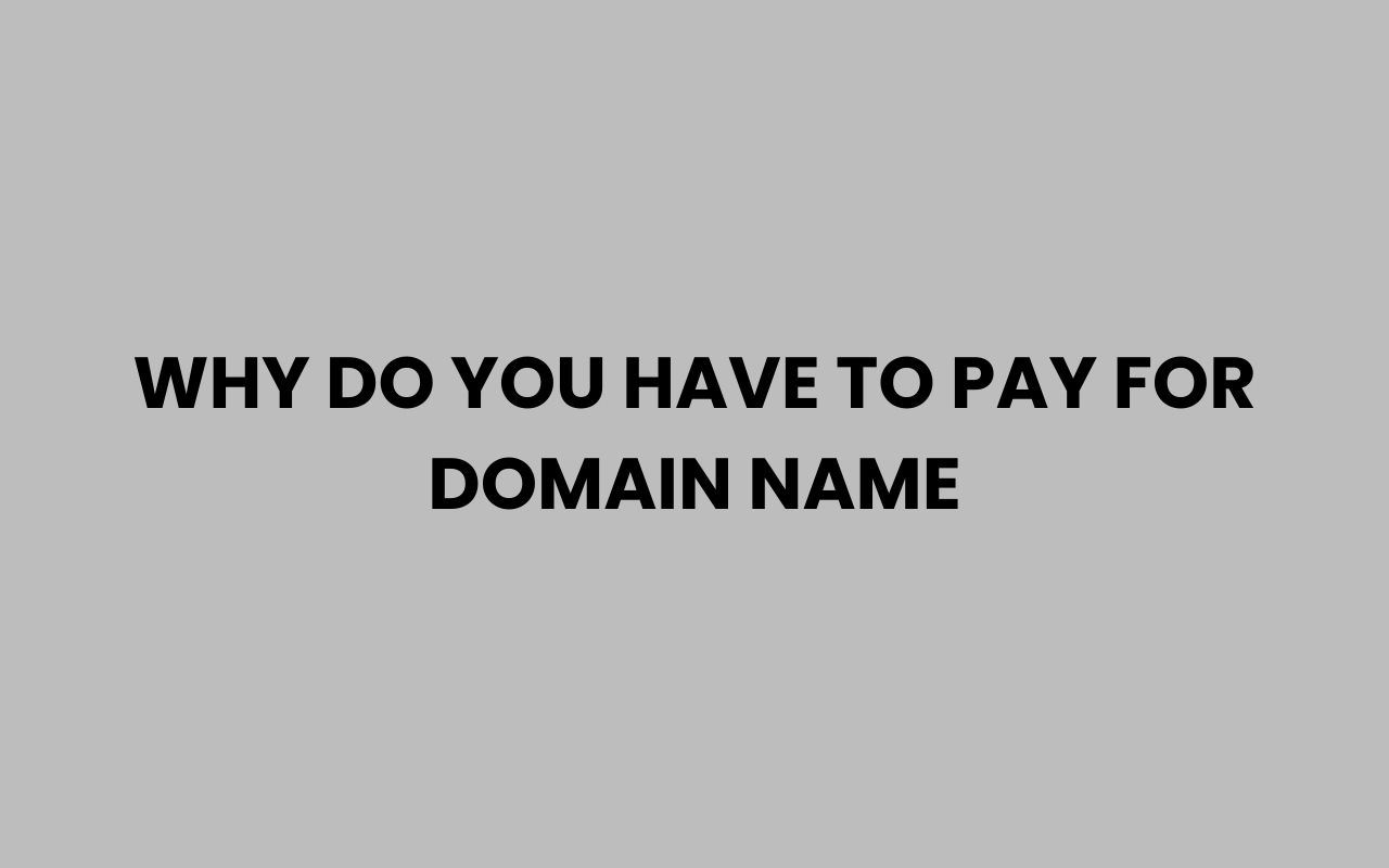 why do you have to pay for domain name