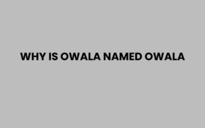 Why Is Owala Named Owala? The Story Behind the Brand