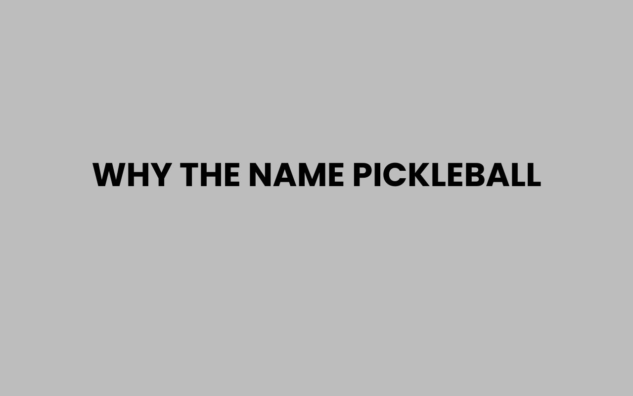 why the name pickleball